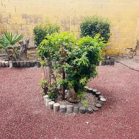 Apartment Cozy 2-bed & Sofa-bed In Cristianos *